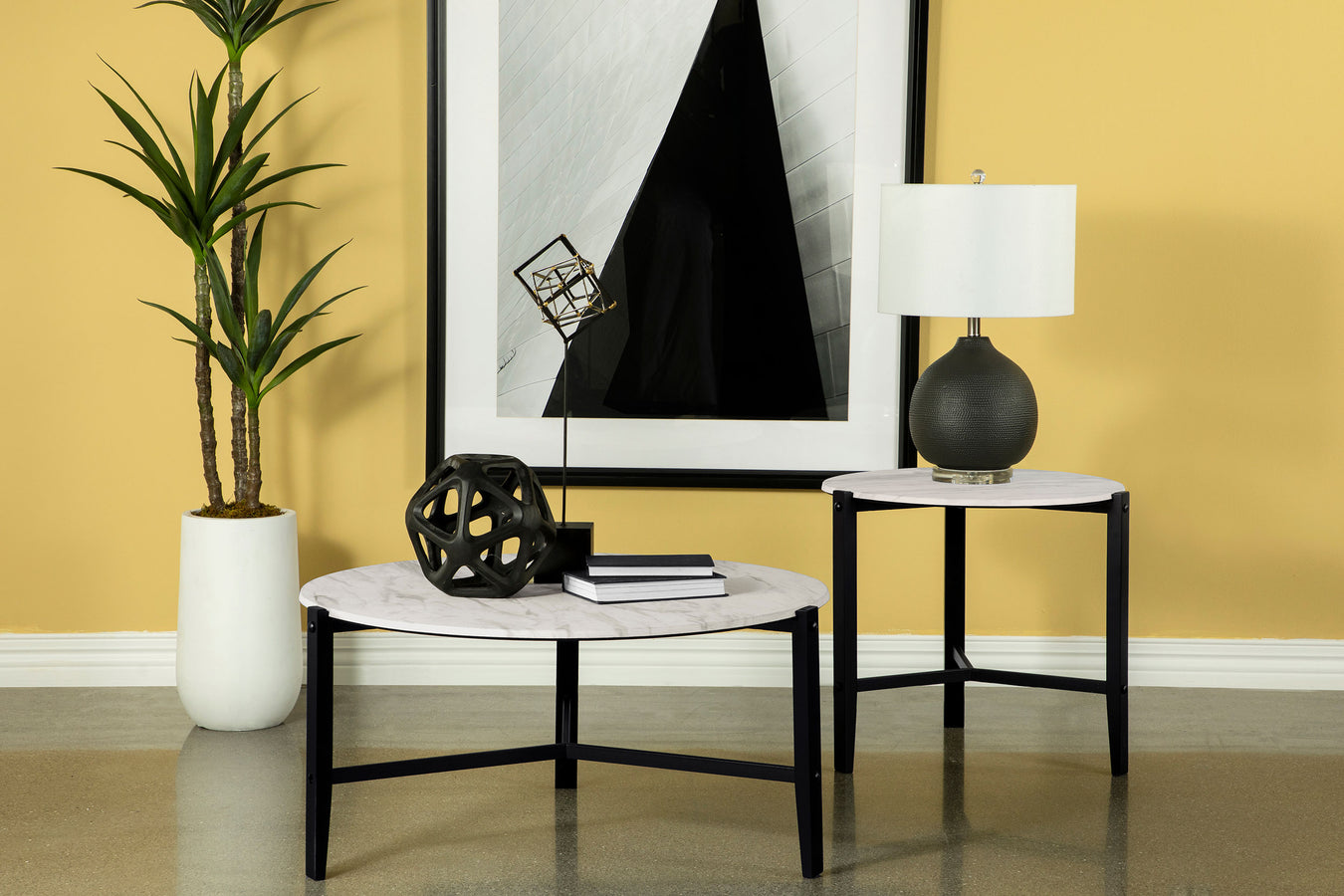 Tandi Collection